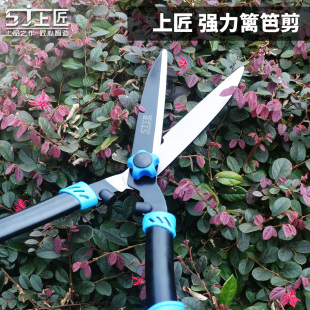花剪园艺剪刀园林工具绿化修枝剪树枝果树绿篱笆剪草坪强力修花剪