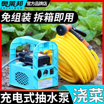 家用充电式抽水泵锂动变