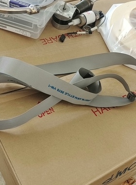 询价！pE49881RUAWMSTYLE2678VW-1晶片传输机