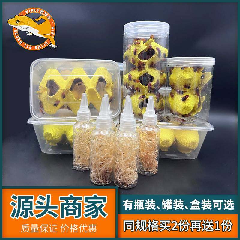 樱桃红蟑螂活体饲料樱桃蟑螂活虫幼体成体繁殖组守宫食物金龙鱼龟,农用物资,苗木固定器/支撑器,淘宝优惠券,粉丝福利购,淘宝优惠卷
