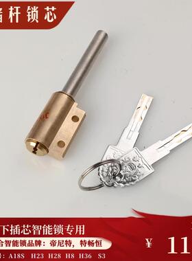 DNT  TCH指纹锁A18S S3 H23 H28 H8 H36伸缩锁芯  全铜转尾锁芯
