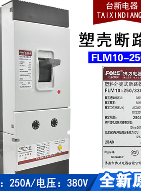 全新正品佛力FLM10-250L-430漏电断路器160A 200A 250A 总开关