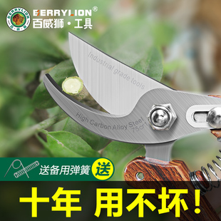 百威狮剪枝剪弹簧园林花艺修剪树枝药材果树剪刀粗大花剪园艺剪子