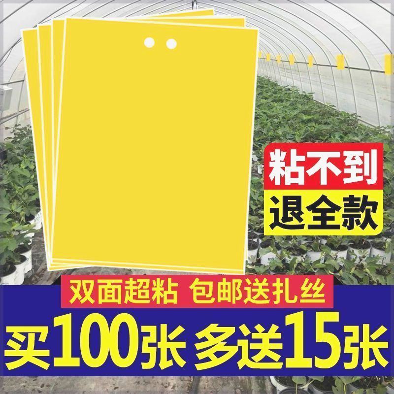 双面粘虫黄板诱虫板柑橘子树瓜果实蝇针蜂粘苍蝇贴粘虫板蓟马篮板