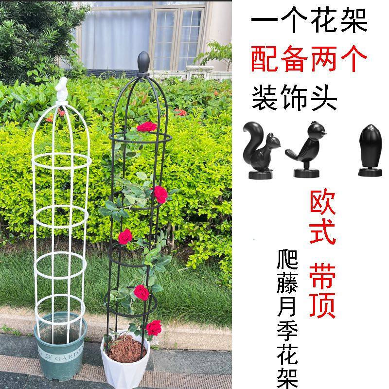 昙花专用支架月季花架园艺爬藤花植物铁线莲紫藤攀爬阳台撑欧式花,玩具/童车/益智/积木/模型,其它玩具,淘宝优惠券,粉丝福利购,淘宝优惠卷