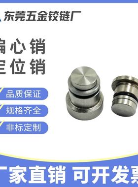 LLT3.5 直线导轨偏心销 用定位销LLT5 LLTS5 ICE11-T5不锈钢LLTA5