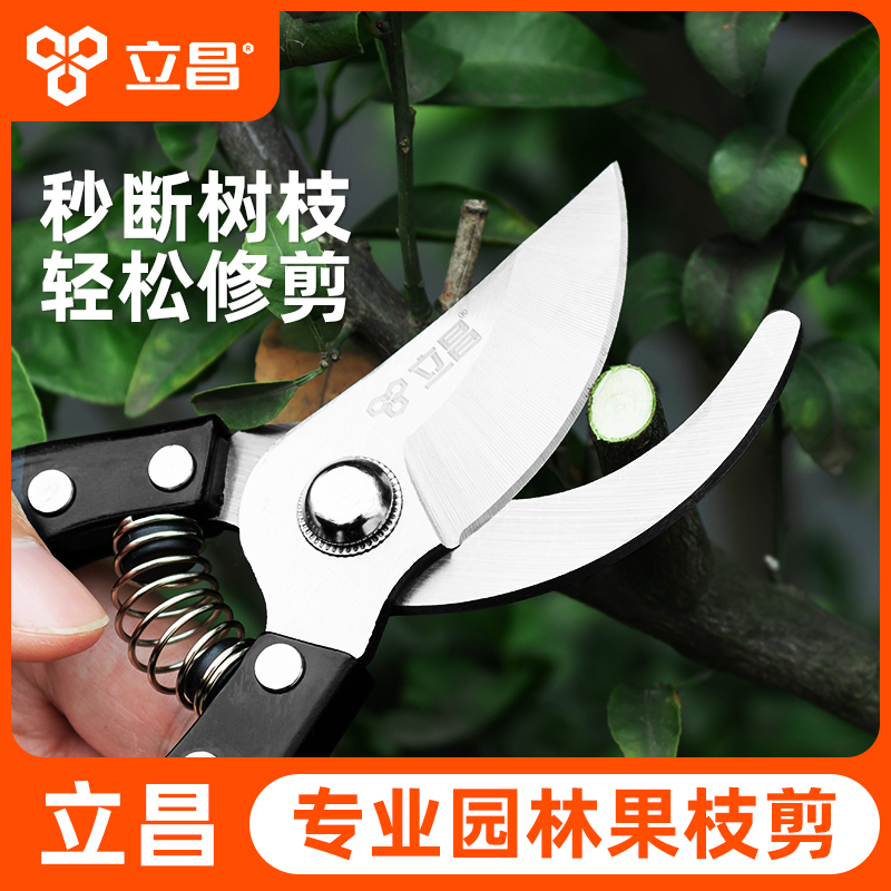 剪刀修枝剪园林园艺枝剪修剪树枝剪枝专用花剪修树枝神器果树修枝