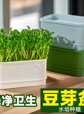 豆芽发盆水培蔬菜设备豌