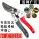 川昱新款 205修枝剪园林果树剪刀粗枝花剪省力果树剪树枝剪盆景剪