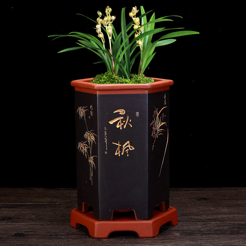 紫砂兰花专用盆高档六方手工点彩盆景绿植桌面君子兰精品兰草花盆