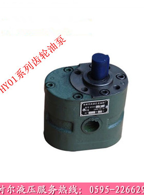 HY01-18*25 8X15 25*25 12X20 3*5X10机磨床70 100X25齿轮油泵CBJ