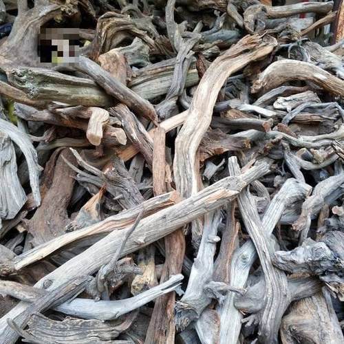 太行崖柏高油块料毛料根雕陈化木雕练手把件摆件崖柏木料原木雕刻