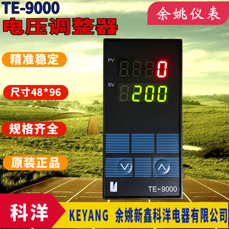 可控硅电压调整器同步表TE-9000电压同步电压反馈现货供应优质 正