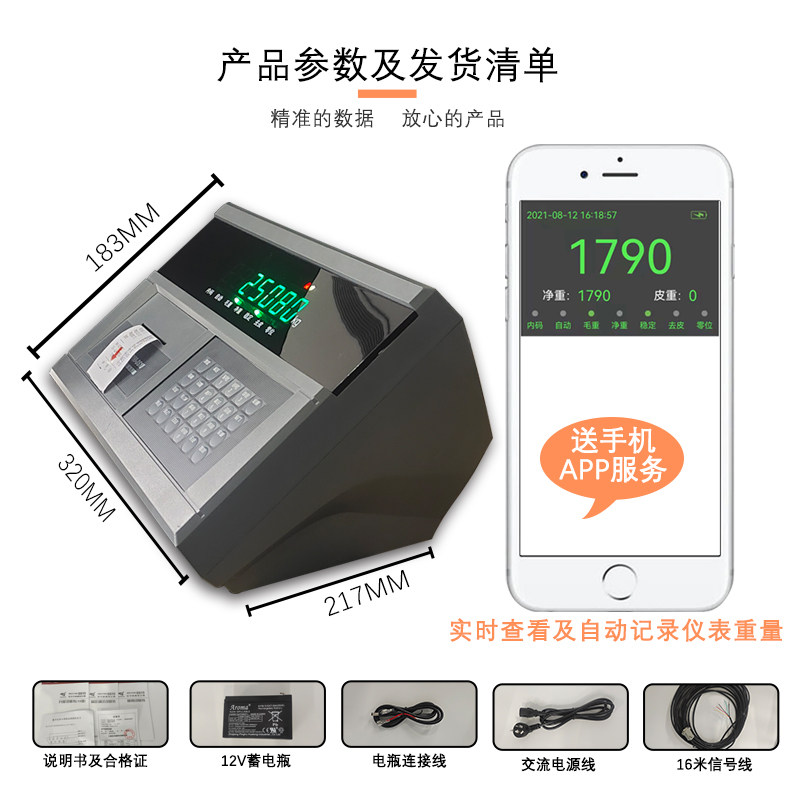 耀华DS10P XK3190-DS10P物联网称重显示器打印仪表头地磅称重打印