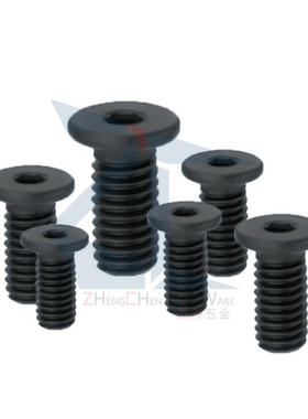 （品质保证）超短头螺丝CBSS2-3/4/5/6/8/10/12薄头螺丝定位螺栓