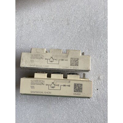 释迦自动化SKM195GAL124DN,SKM195GAL123D