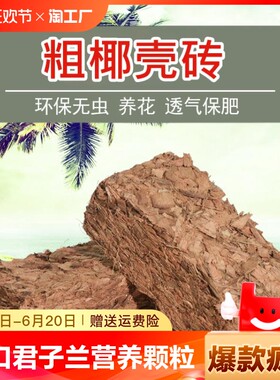 进口椰砖君子兰营养土花