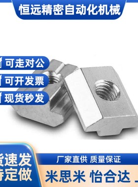 LNSN/AHF21铝型材AHG螺母206/408螺帽AHE21/G306/G408/m5/M6