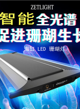 积光海水灯珊瑚缸鱼日出