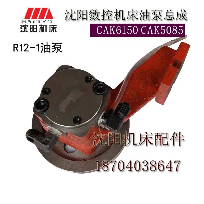 沈阳机床 CAK4085 CAK63135 CAK5085 CAK6150 R12-1 原厂油泵总成