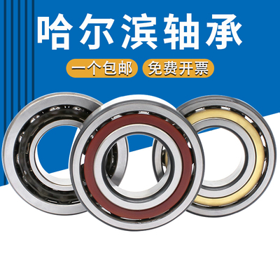 角接触高速轴承7300 7301 7302 7303 7304 7305 7306