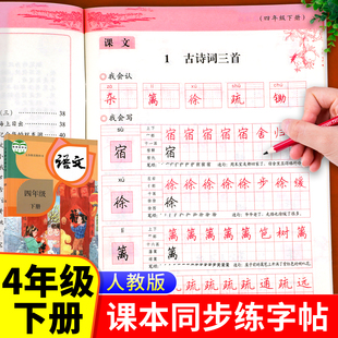 同步人教版 4下 四年级下册语文同步字帖练字帖人教版 课本教材每日一练小学下学期部编版 四下写字帖写字课课练小学生专用练字本