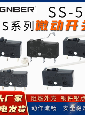 RS-5G 5GL 5GL12 5GL13 5GL12S微动开关热水器行程限位替代SS-5G