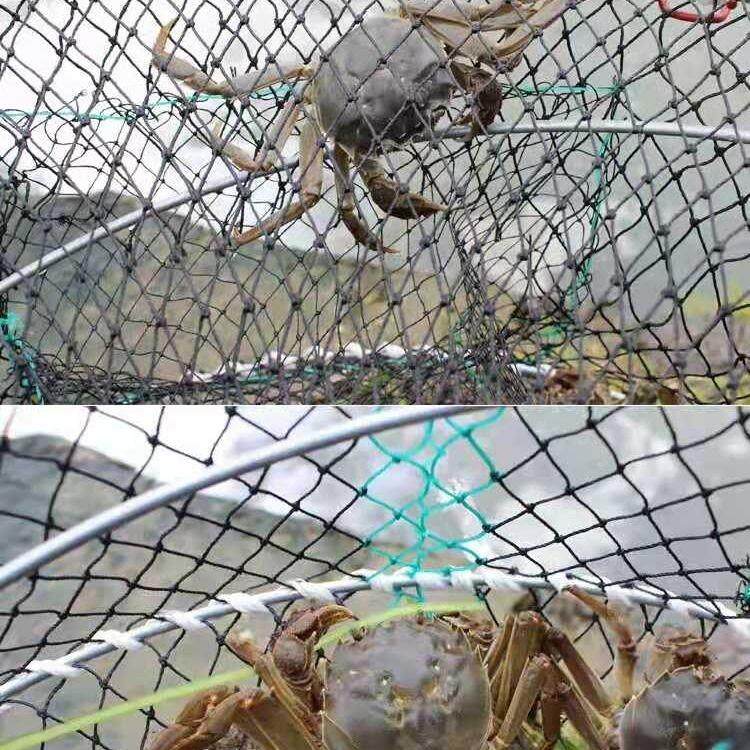 甲鱼地网笼抓甲鱼神器捕甲鱼神器专捕甲鱼网泥鳅鳝鱼笼小虾笼地网