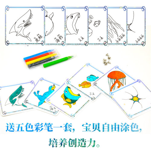 科学实验食物链技小制作