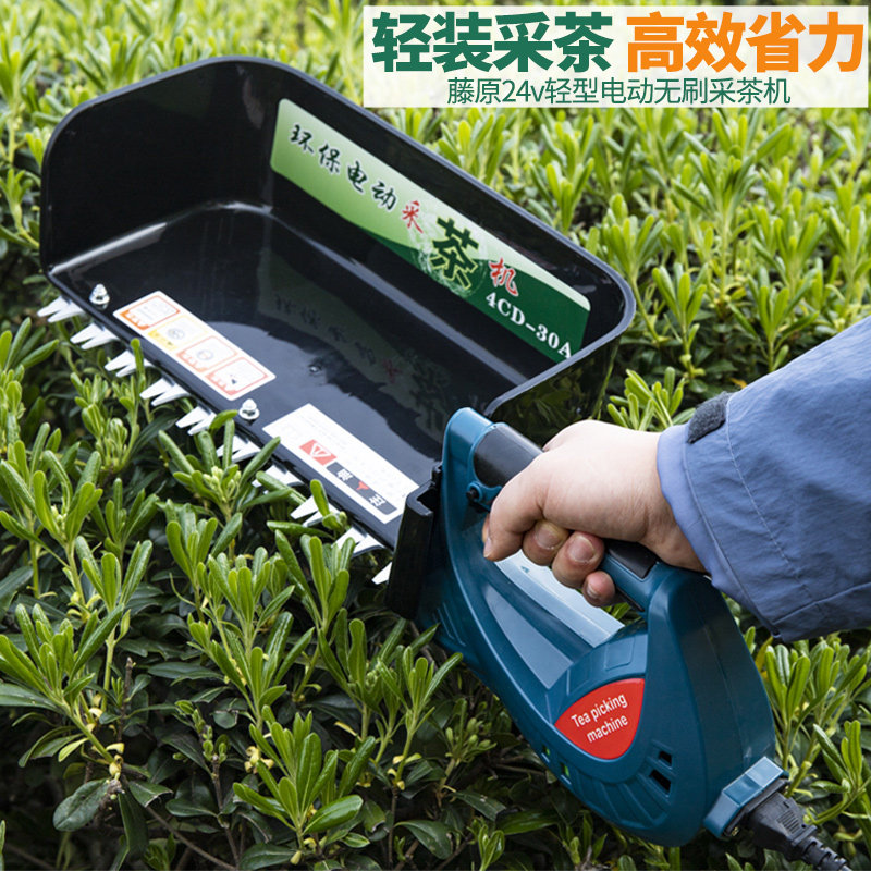 藤原采茶机绿篱机茶树剪茶机无刷单人小型手提充电电动茶叶采摘机