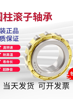 无外圈圆柱滚子轴承RN305M 306 307 308 309 310 311 312 313EM