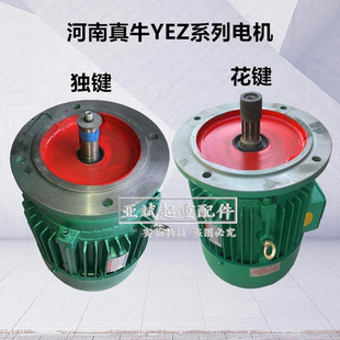 河南真牛摆线针轮减速机电机YEZ132S 独键电机 5.5KW建筑电机花