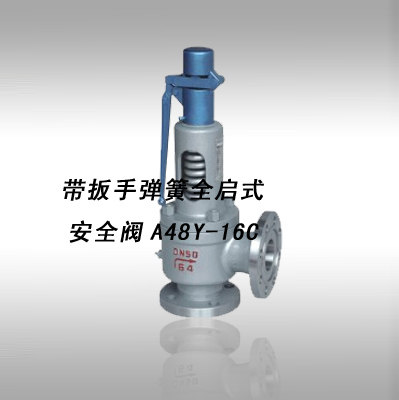 安全阀弹簧启式带法兰锅