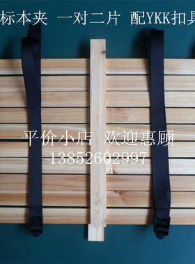 植物标本夹40*30cm 树叶夹 一对二片 配扣具/套 教学仪器