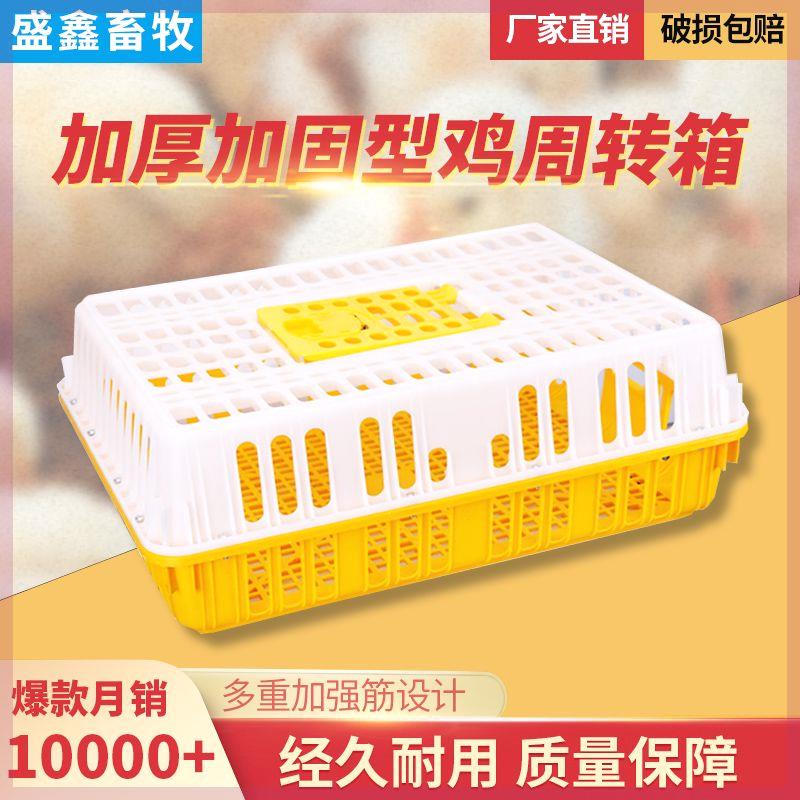 量大从优鸡笼周转箱家用
