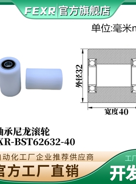 双轴承BST62632-40加宽POM滚轮塑料胶套尼龙包塑加厚输送带滑轮