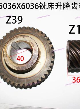 X5036X6036铣床配件升降齿轮斜齿轮Z11外径55L36Z39外径122L50