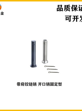 MIB06-D3/D4/D5/D6/D8/D10/D12-L12/15/16/18/20/25/30/40铰链销