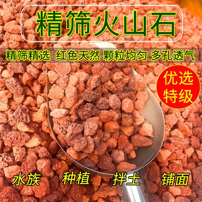 天然火山岩红石多肉种植