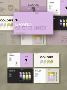 现代平面logo品牌VI设计商业指导手册画册宣传排版ppt素材模版