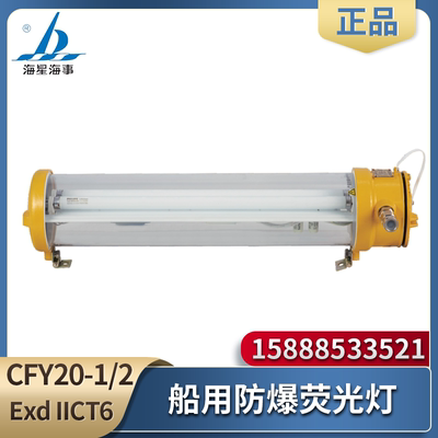 海星防爆不锈钢荧光舱顶灯CFY20-2E/2L/2EL管形应急灯CFY30/40-2E