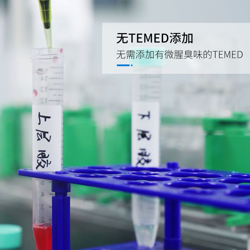 诺唯赞 一步法快速制胶试剂盒 SDS-PAGE凝胶制备彩色上层胶15分钟