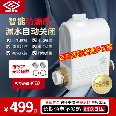 入户智能电动总阀远程开关防漏水保护器自动关闭水阀涂鸦球阀水阀