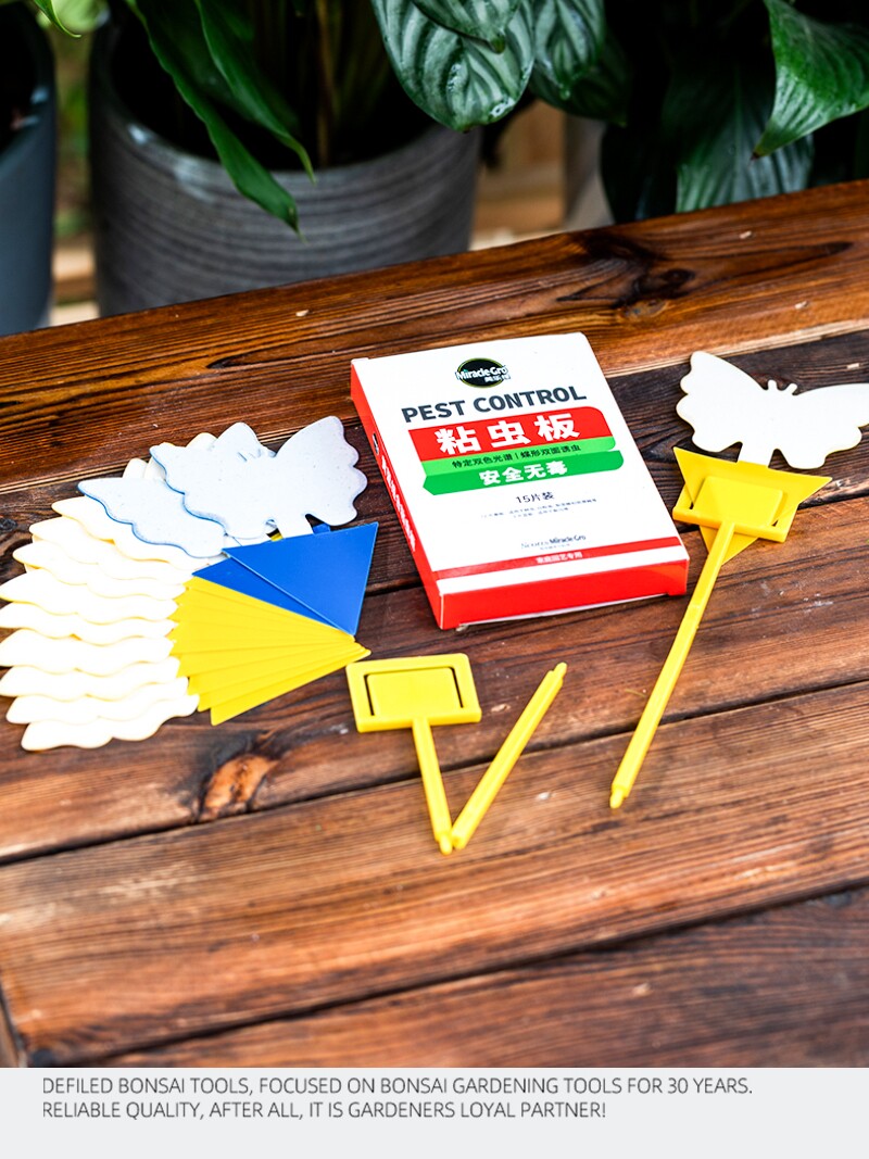 美乐棵黄蓝双色粘虫板园艺防虫片双面诱虫小飞虫小黑飞果蝇诱捕器