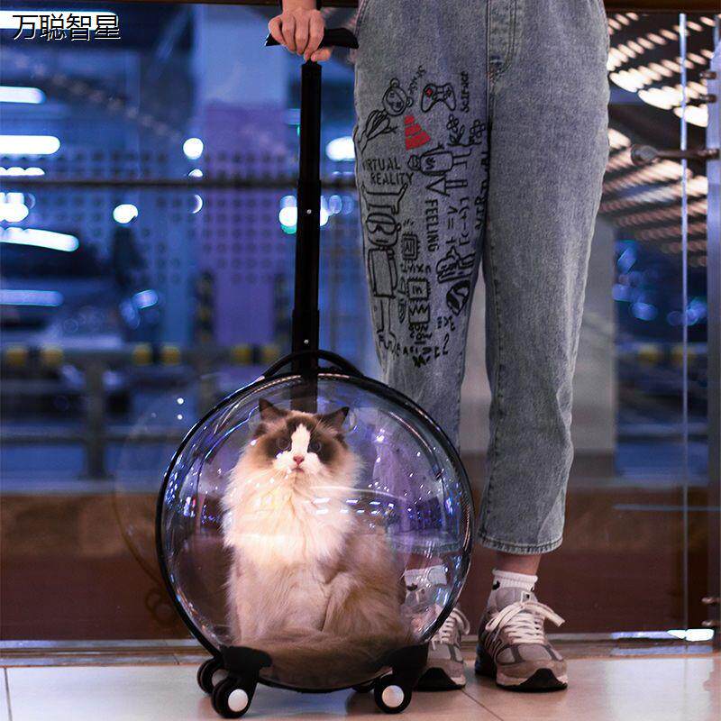 猫包便携宠物行李箱太空舱推车猫咪外出拉杆箱狗狗笼子旅行箱透明