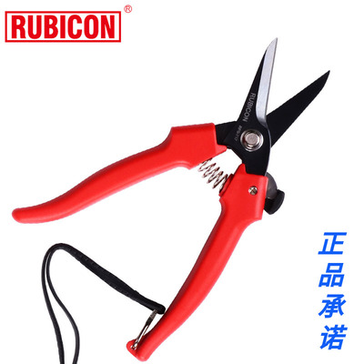 罗宾汉专业花枝剪园艺刀