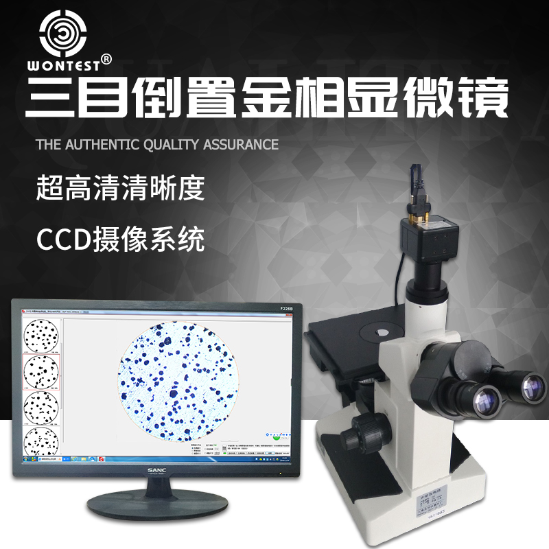 金相显微镜三目倒置晶粒