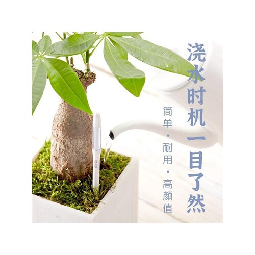 家用种植花卉干湿浇水土