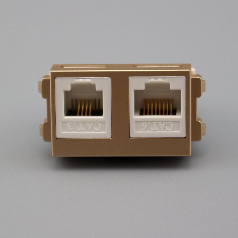 香槟色型双口电脑话模块