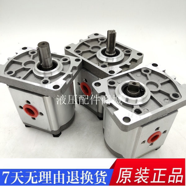 齿轮泵CBN-F310 CBN-F304 CBN-F306 CBN-F308 CBN-F314 CBN-F320